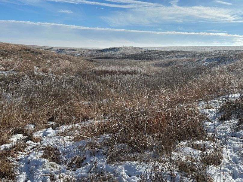 D1057041-6F4F-4A72-8474-B65931815723_1_105_c