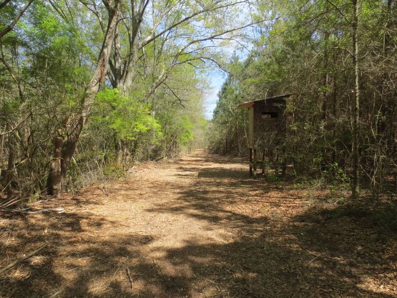 411B403E-DE48-4B79-A810-C167B8C1A714_1_105_c