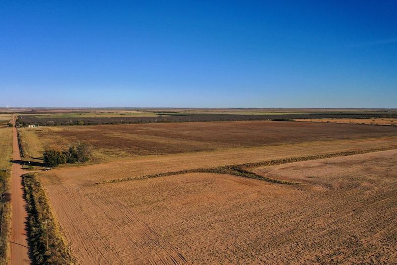 org_f0c64d558818144a_1762730860000