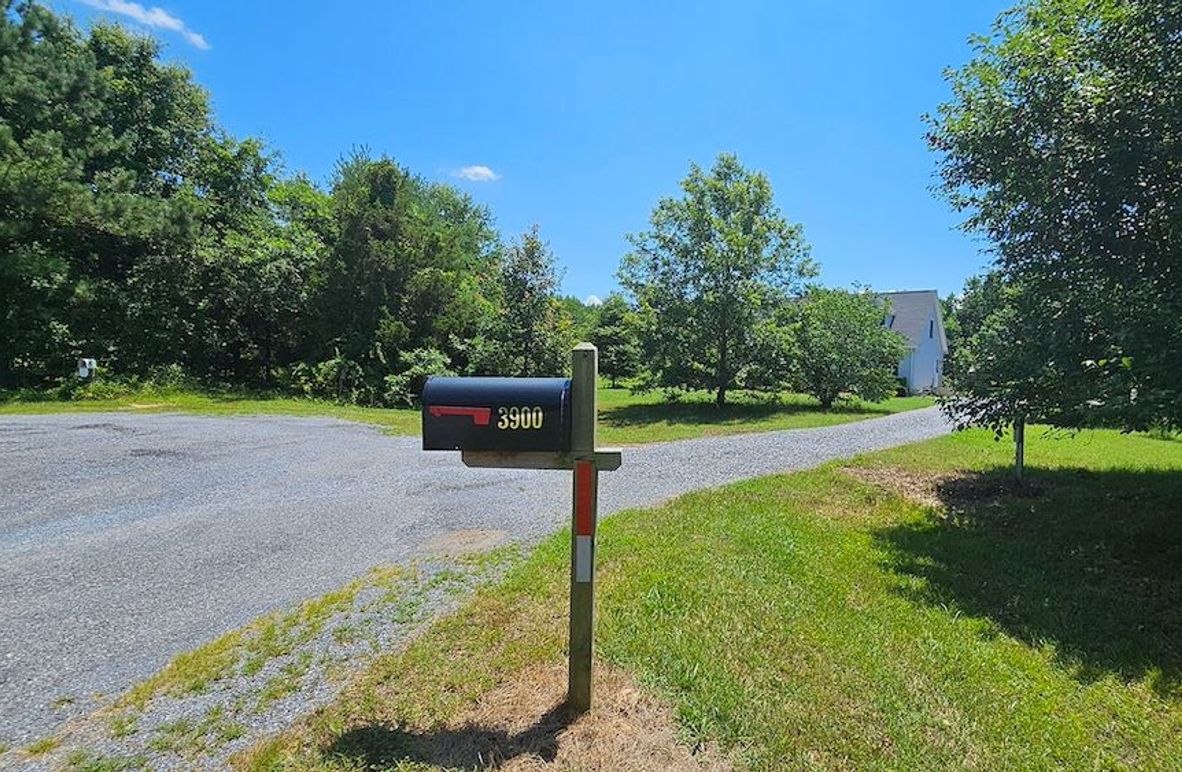 3ac_LewisLn_DORCHESTER_03