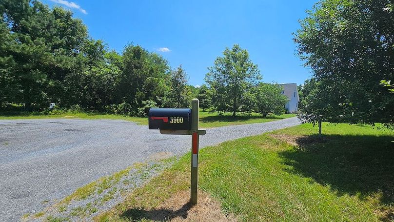 3ac_LewisLn_DORCHESTER_03