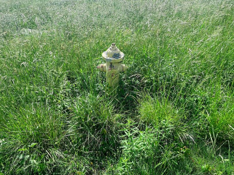 Haralson GA 100 McIntyre-32