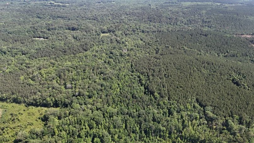 DJI_20260602233911_0054_D