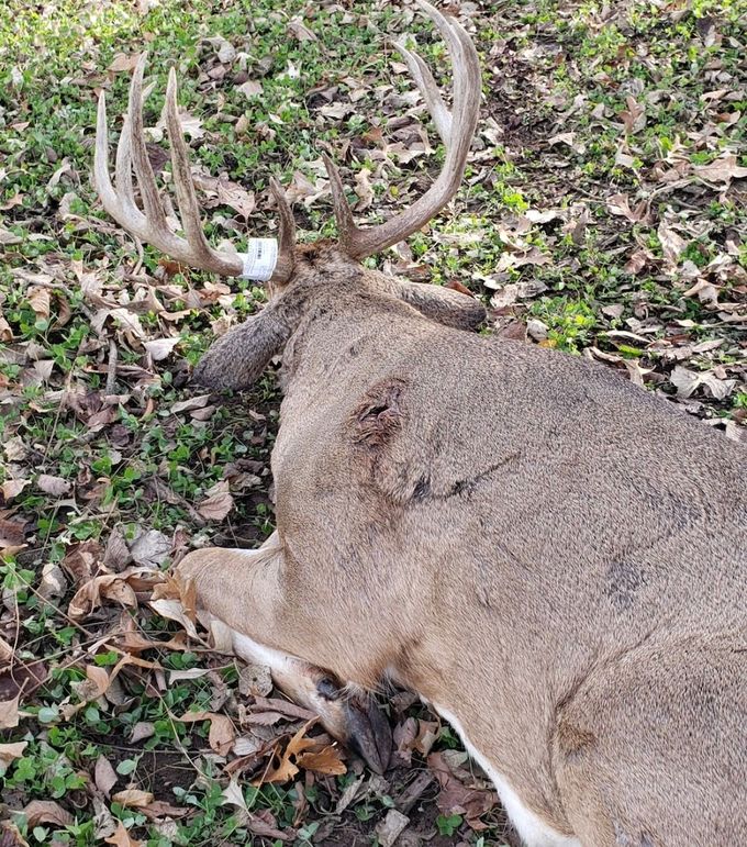 Screenshot_20240823_164057_Gallery