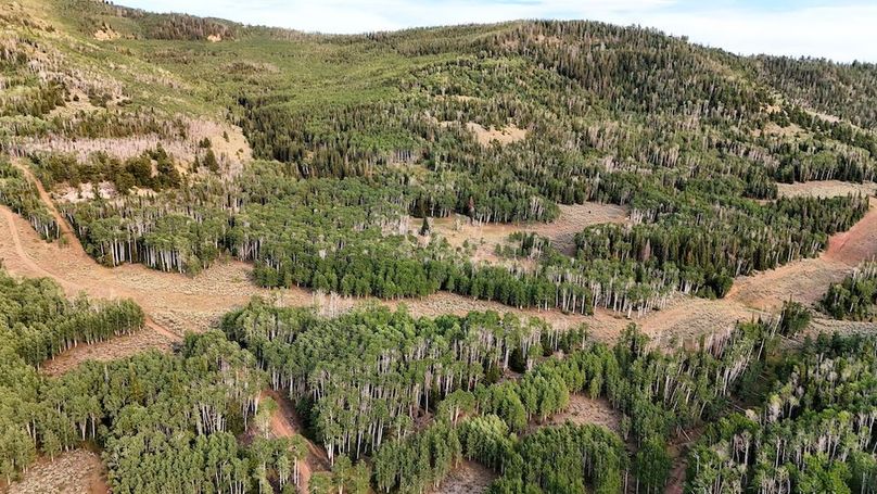 DJI_20250726182832_0190_D