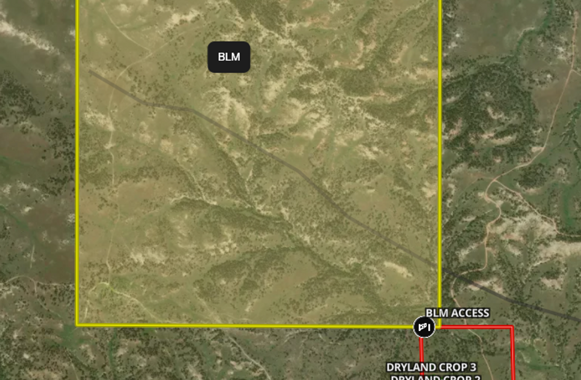 Screenshot 2025-06-12 at 1.37.58 PM