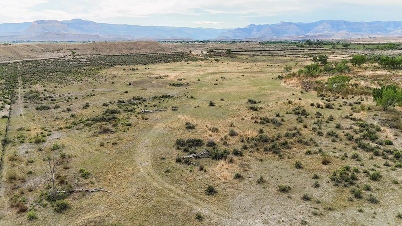 DJI_20240531182058_0275_D