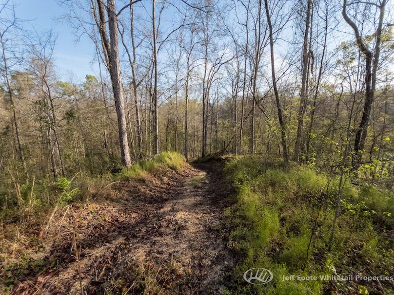 Warren Co - 45.5 - Bockman-70