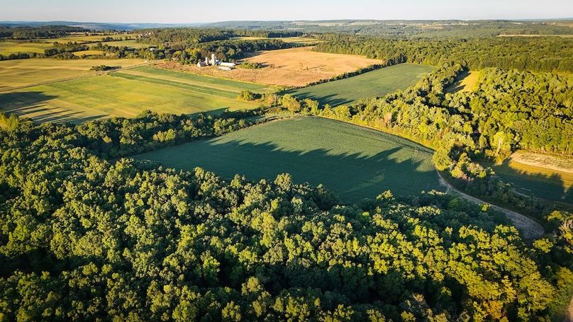 Copy of Wood Tract 3 Photo 16