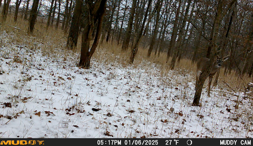 Screen Shot 2025-07-16 at 12.47.24 AM