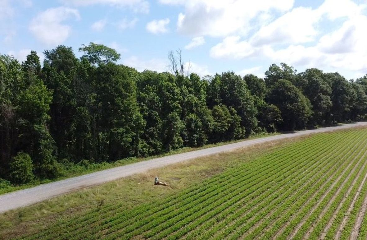 2024-06-01-10-28-13-062