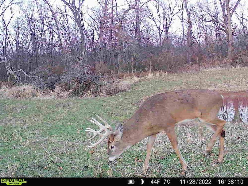 Copy of Trail photos.47