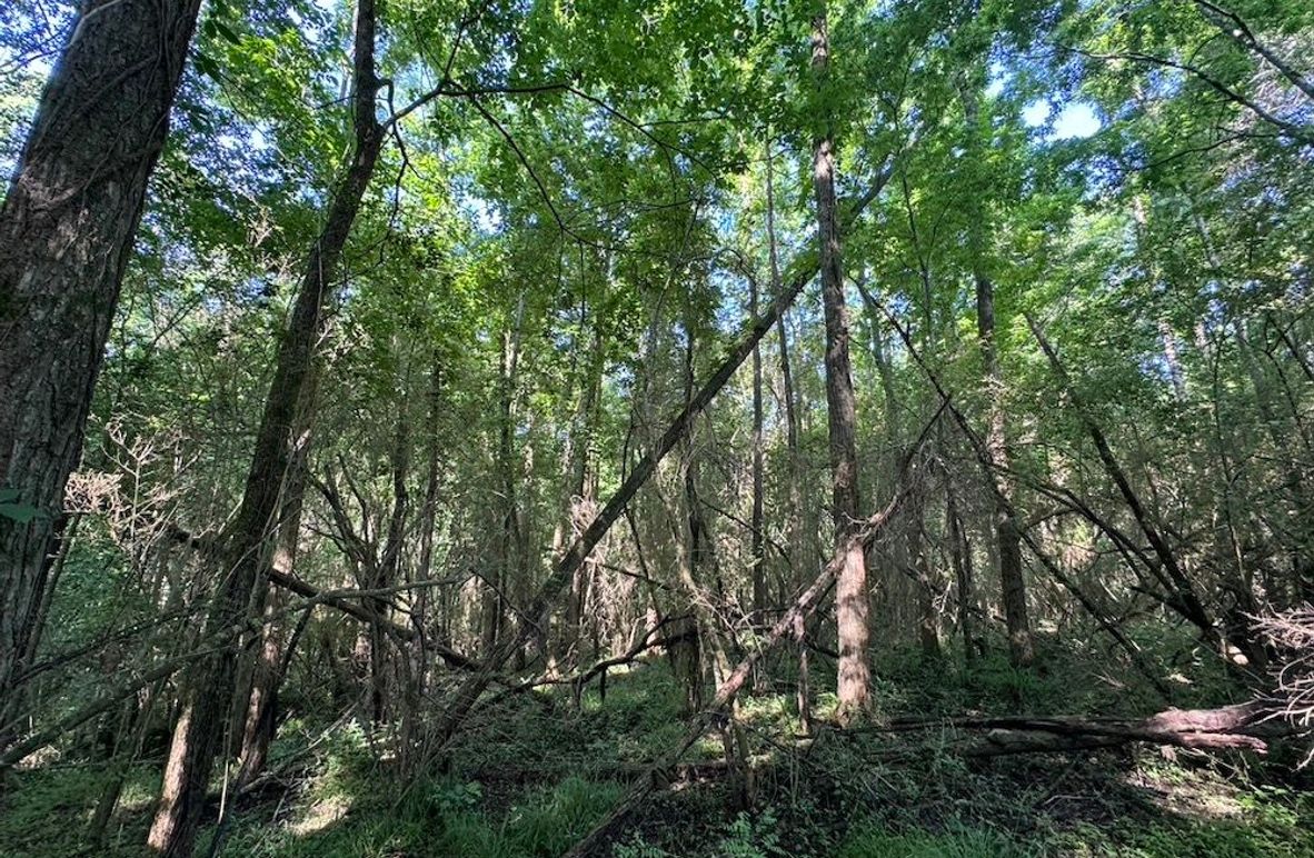 5F6A7F1B-D524-4F71-A2CE-F09B8DD603BA_1_105_c