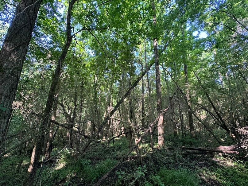 5F6A7F1B-D524-4F71-A2CE-F09B8DD603BA_1_105_c