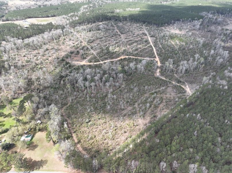 dji_fly_20260303_140022_292_1772637944931_photo