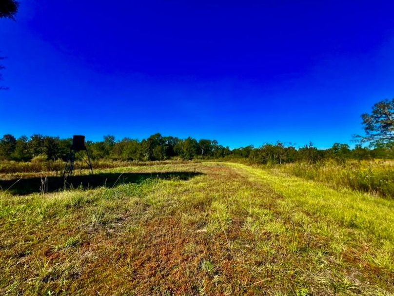 37CCE981-3EDC-4A26-8E1C-885F84C6D8B0_1_105_c