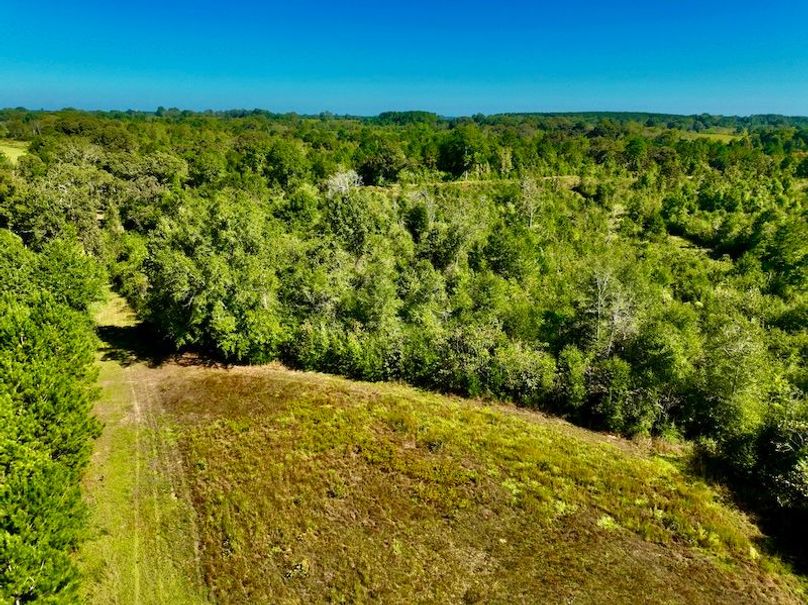 55F0F8F8-138D-4D13-84E3-24655CDE3F2A_1_201_a