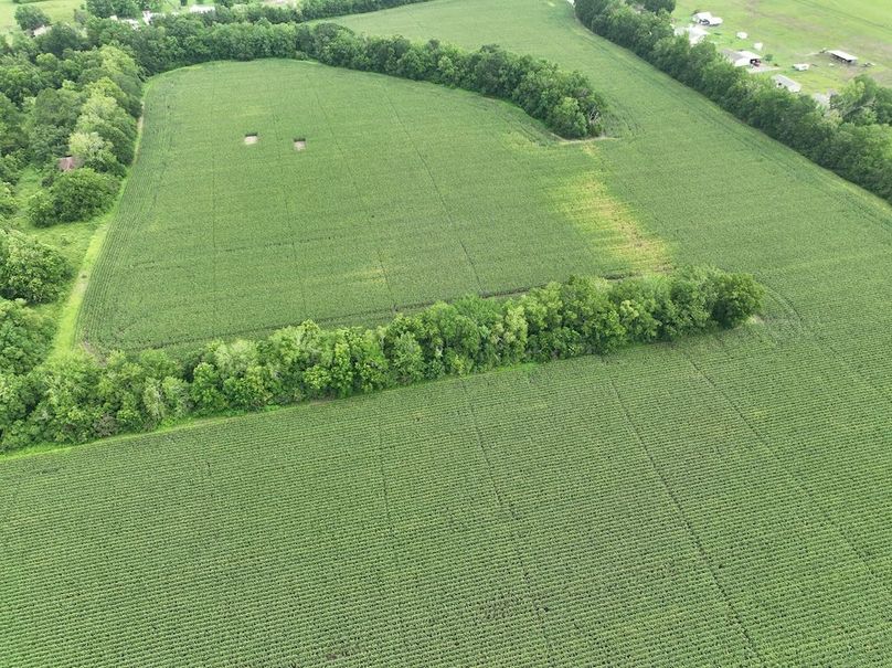 dji_fly_20240620_102738_569_1718898947688_photo