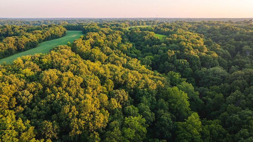 DJI_0143-HDR-2