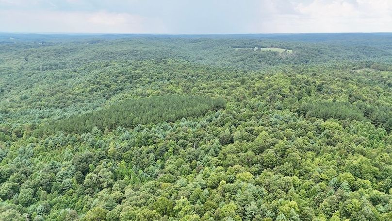 DJI_20250820163922_0064_D