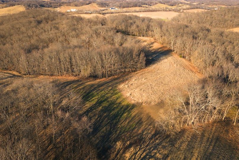 DJI_20260218161933_0633_D