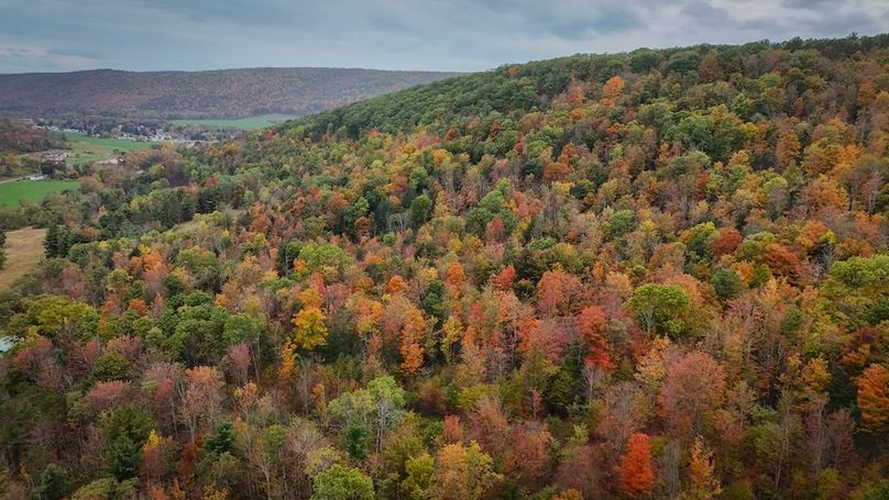 DJI_20251007162117_0654_D