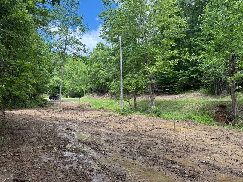 001 the clearing area near the road and creek, ideal for a cabin, home or RV