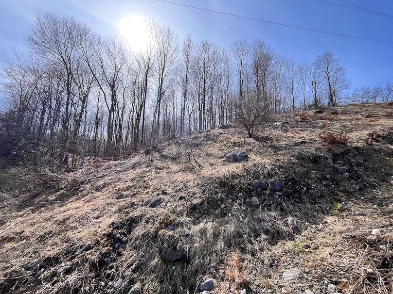 Lewis_26_Somberg Photo 61