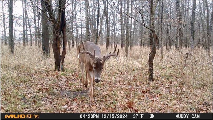 B Image 12-28-24 at 6.16 PM 2