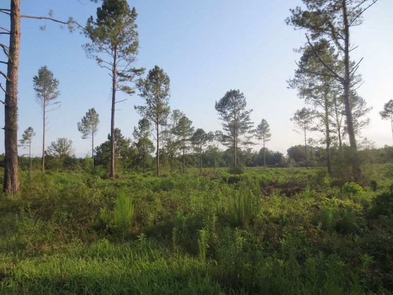 58EC0161-FE54-437E-81D4-164D39F874C0_1_105_c