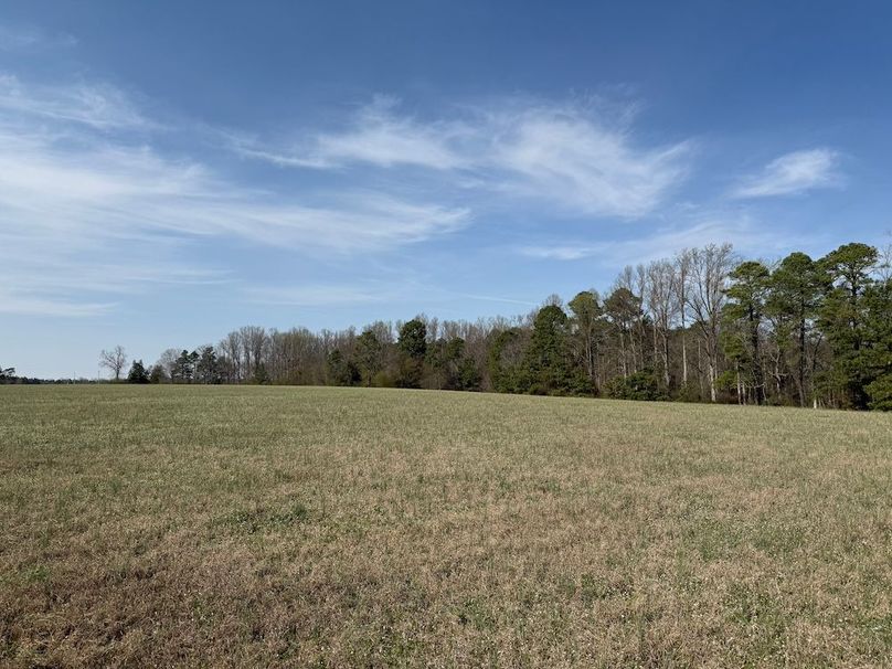 27 - open field from pond