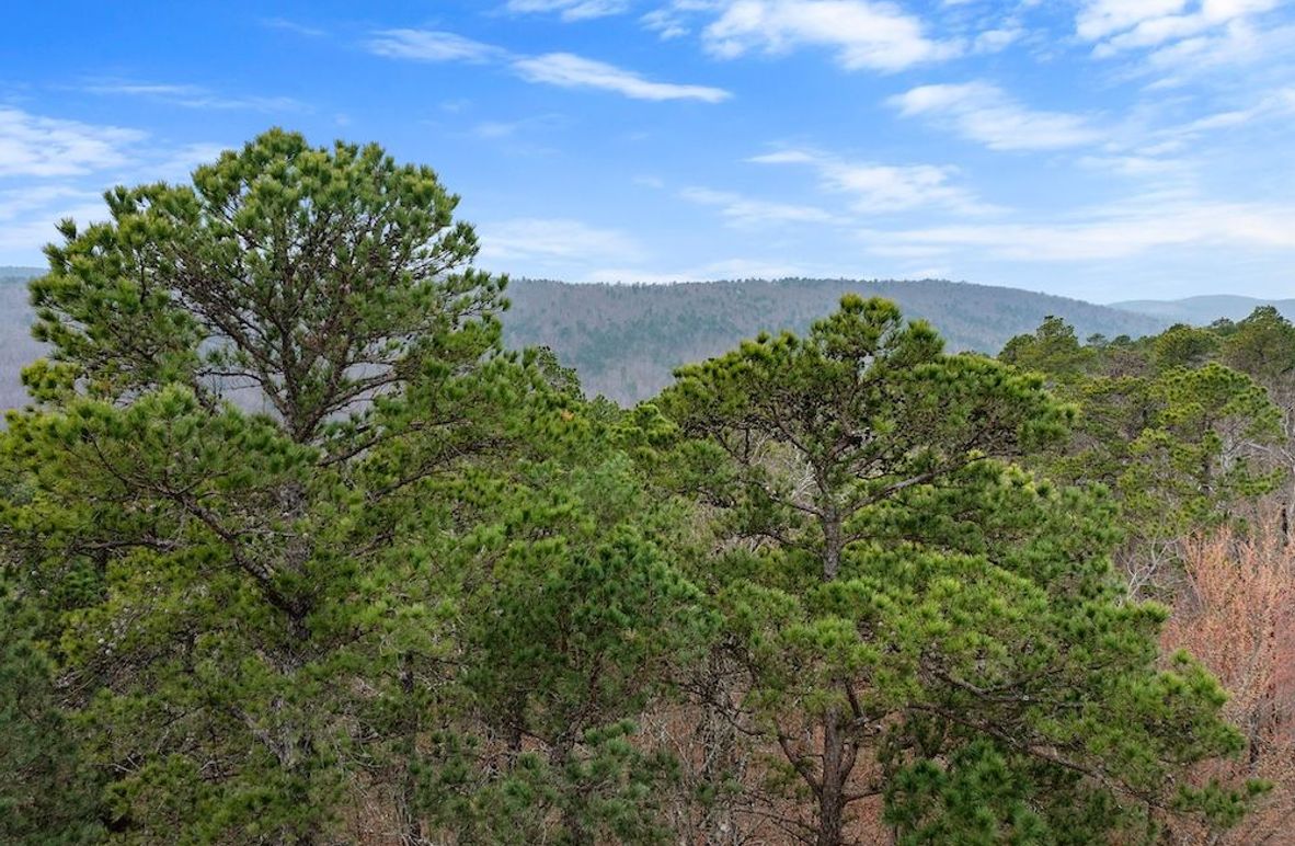 4-web-or-mls-DJI_0413