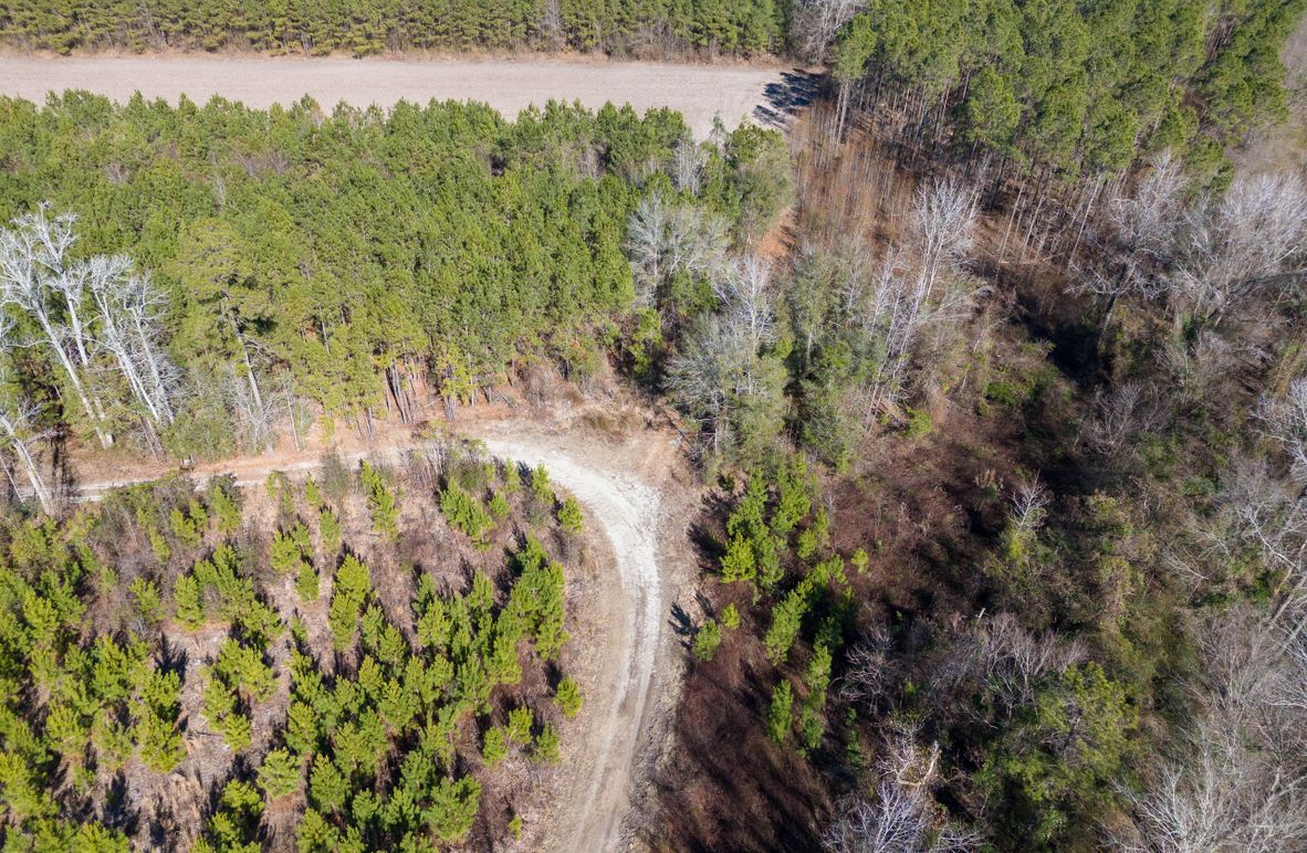 Pender NC 382 - Edits-2