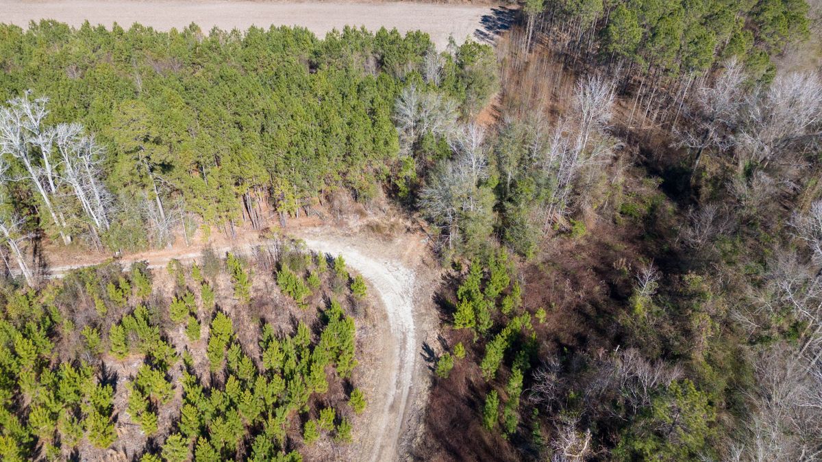 Hunting And Timber Near Wilmington Whitetail Properties