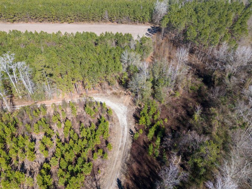 Pender NC 382 - Edits-2