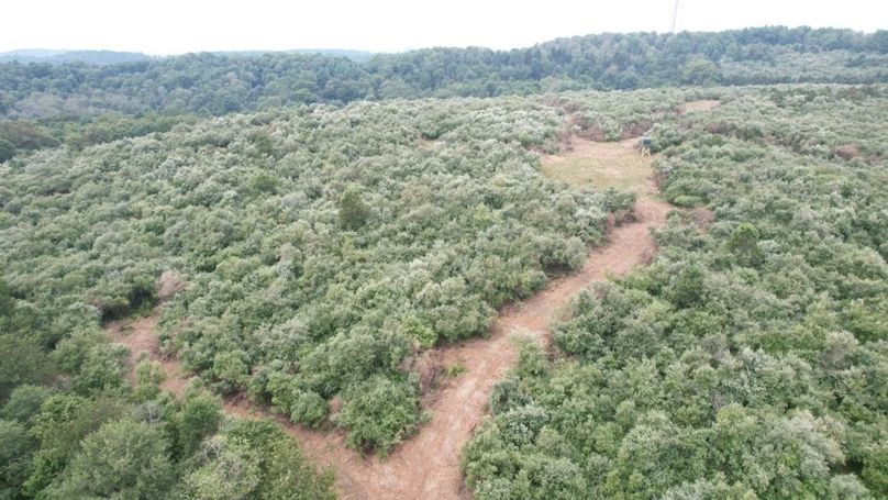 dji_fly_20250806_125242_548_1754499850938_photo