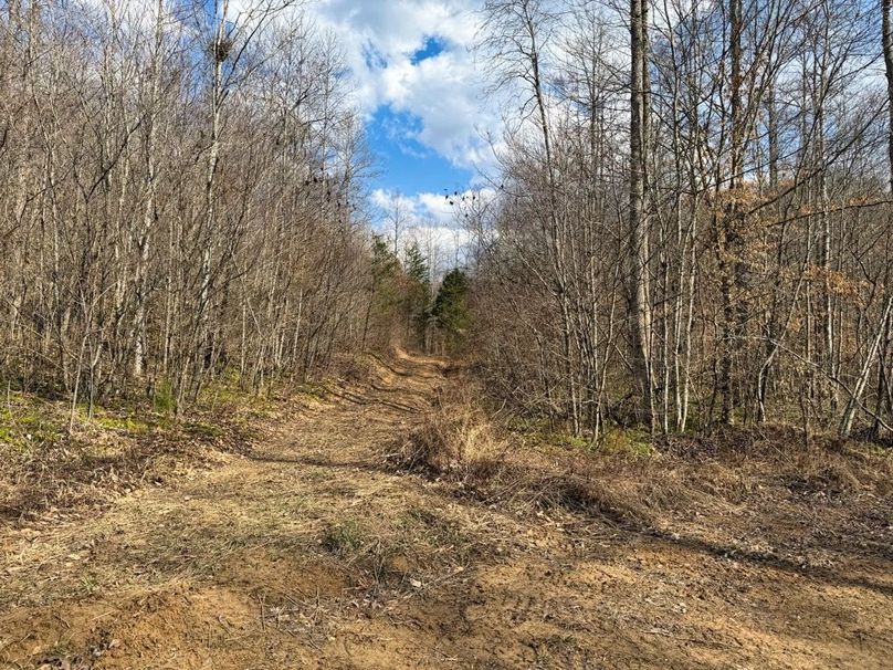 010 trail system coming from the flats along the creek-2