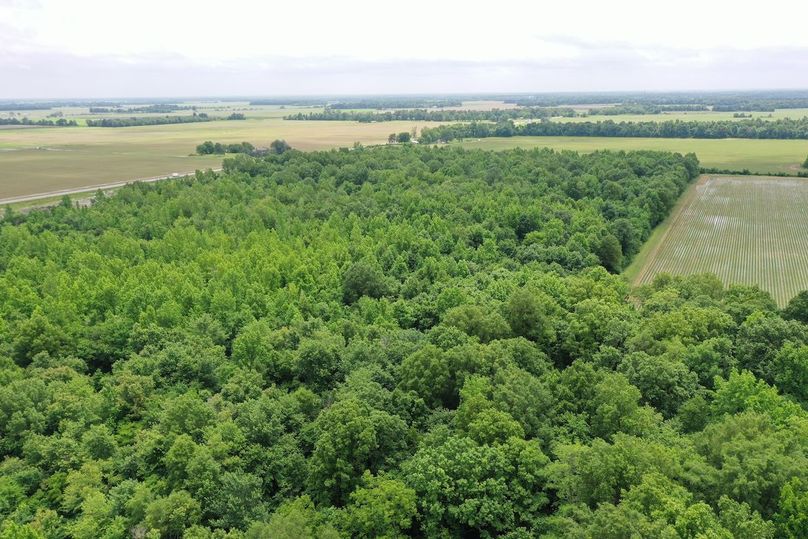 DJI_0855