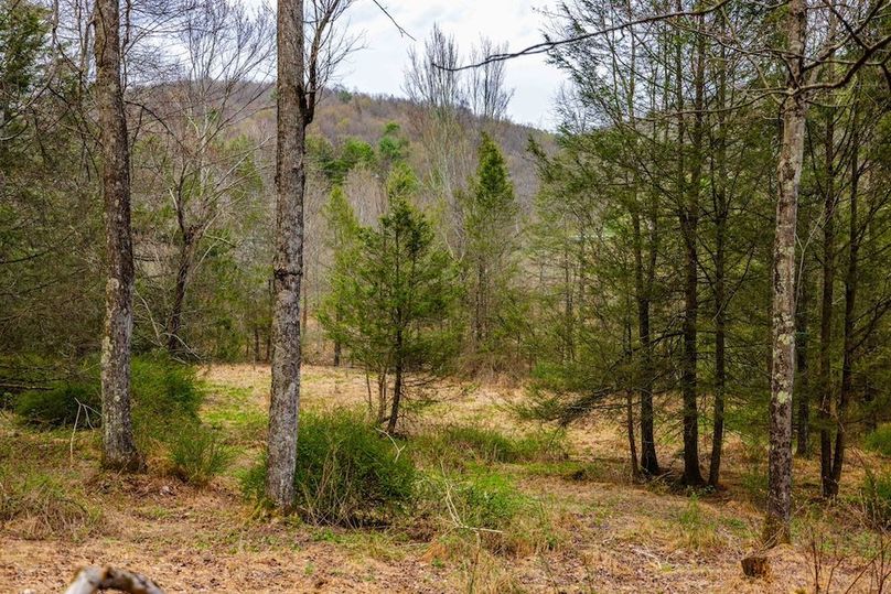 41-web-or-mls-IMG-41