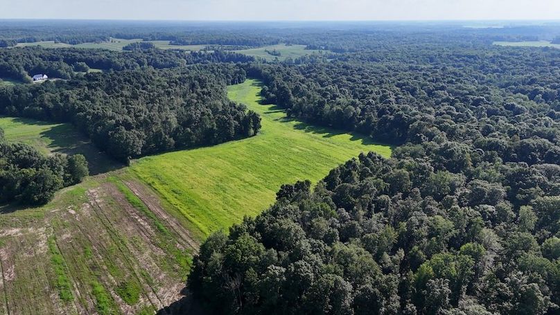 DJI_20250808174949_0743_D