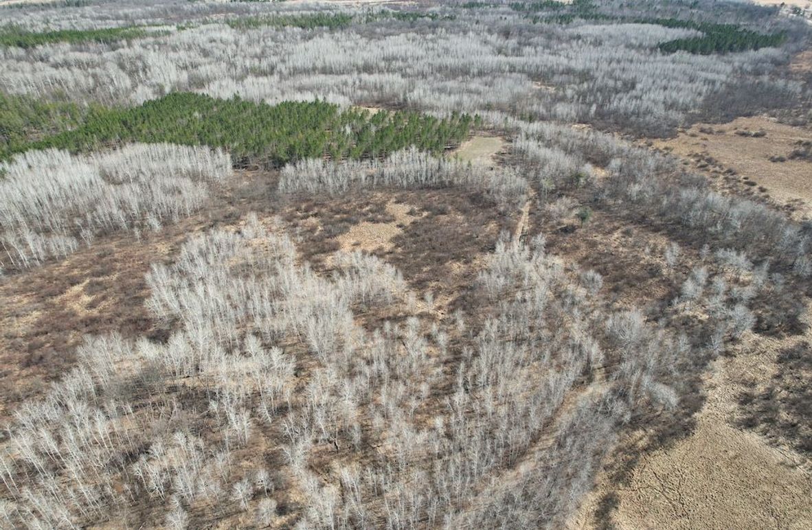 dji_fly_20260415_161312_156_1776288019080_photo