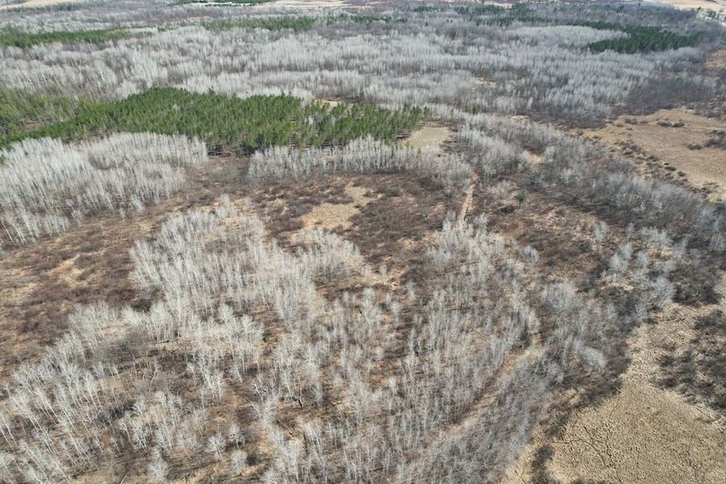 dji_fly_20260415_161312_156_1776288019080_photo