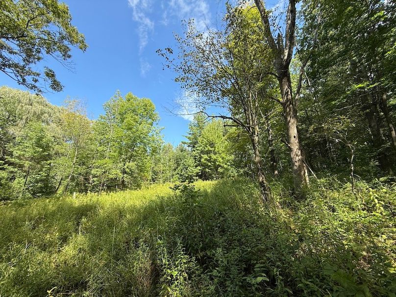 Ontario_2.7_Proseus Photo 12