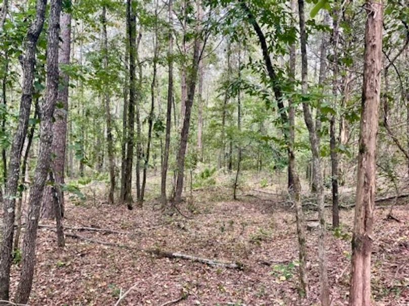 EAA513F5-CE1F-4EB5-A013-01F63718B0CA_4_5005_c