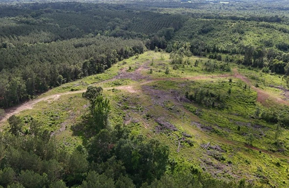 DJI_20250528053051_0506_D