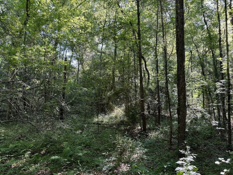 FE987EEE-9BA5-4DCE-B806-03D0941B52B2