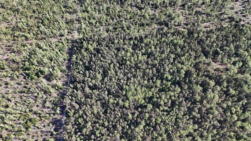 DJI_20260422092526_0501_D