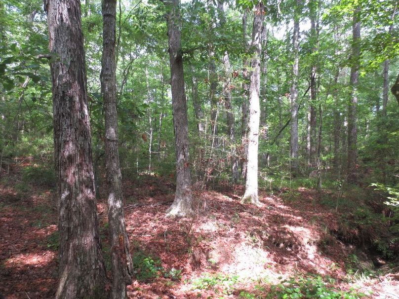 5DFD3BB1-E5A8-44FE-B63A-510058C4CD27_1_105_c