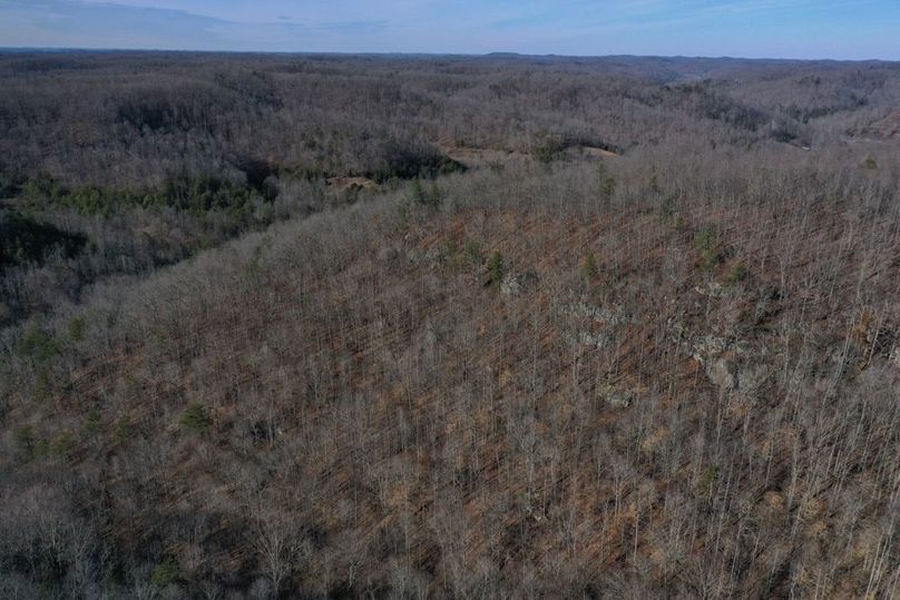 014 aerial drone shot from the east boundary looking north down the valley