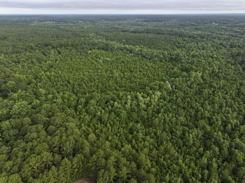 dji_fly_20250612_080242_0084_1750261391758_photo